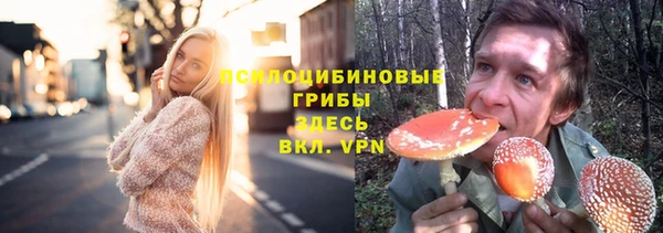 ГАЛЛЮЦИНОГЕННЫЕ ГРИБЫ Абаза