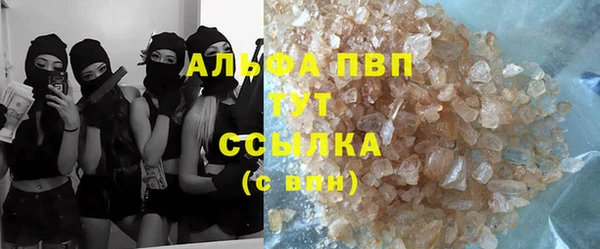 ГАЛЛЮЦИНОГЕННЫЕ ГРИБЫ Абаза