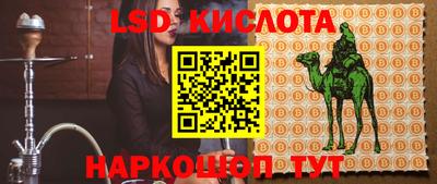 гидра Ставрополь