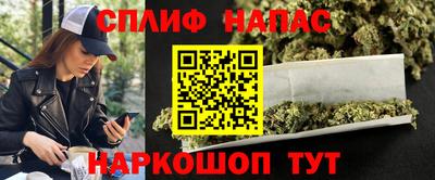 гидра Ставрополь