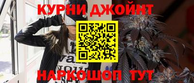 гидра Ставрополь