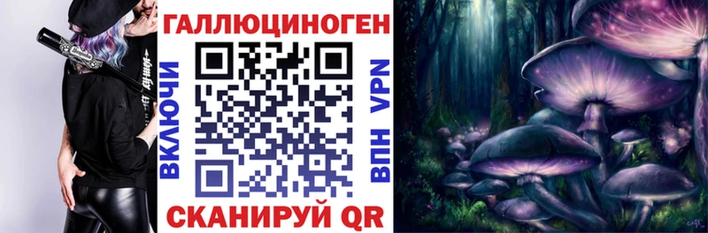 ссылка на мегу как зайти Саранск Псилоцибиновые грибы мицелий
