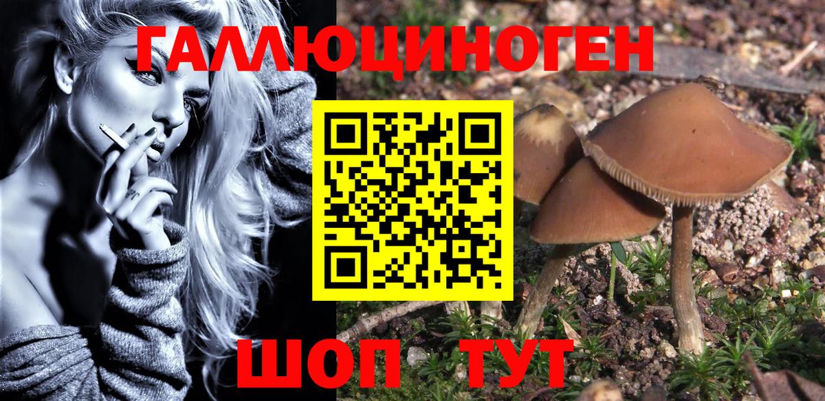 Галлюциногенные грибы Psilocybe  купить   Саранск  Вход с VPN 